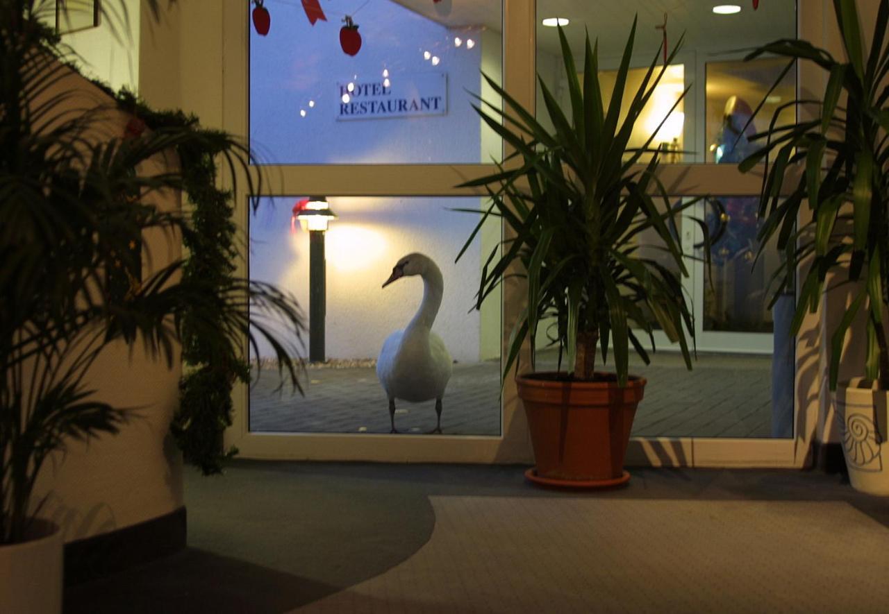 Seehotel Luisenhof